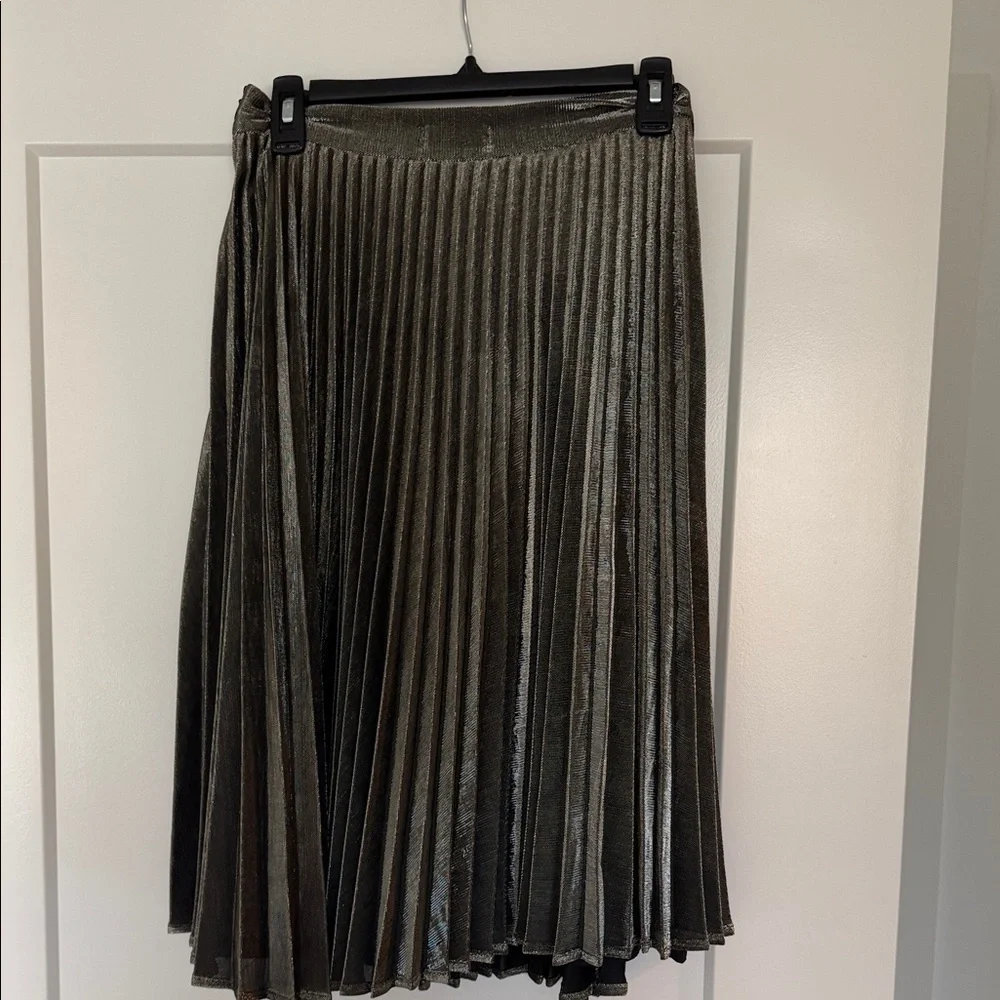 Vestique Pleated Skirt